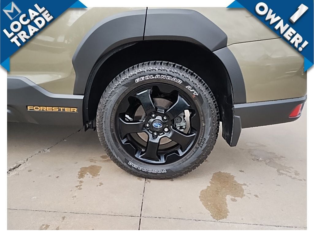 2025 Subaru Forester Wilderness