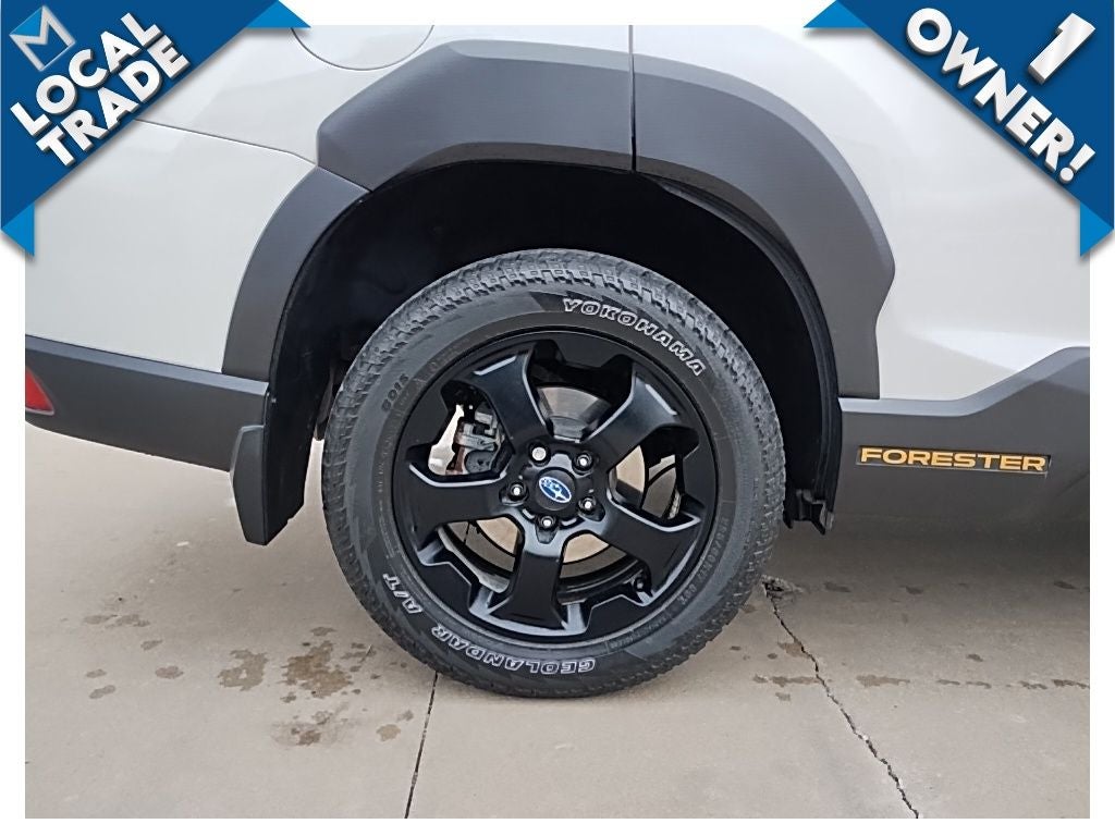 2023 Subaru Forester Wilderness