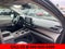 2023 Toyota Sienna XLE 7 Passenger