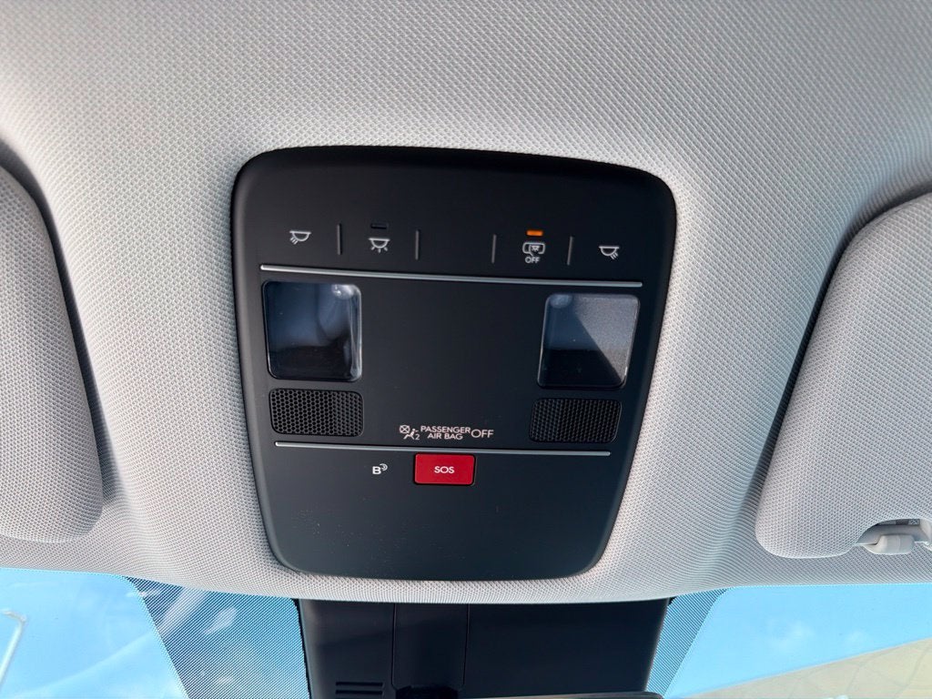 2027 Hyundai PALISADE HYBRID Blue SEL 8 Passenger